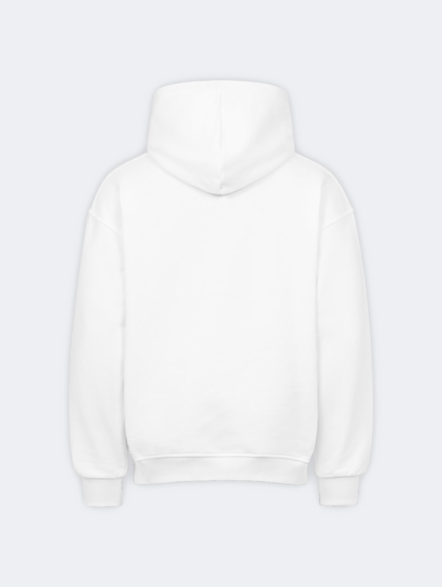 BEST DAYS HOODIE